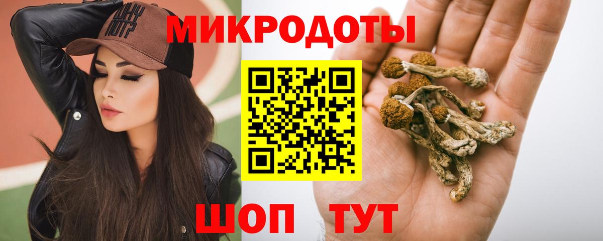 купить наркотики цена  Псилоцибиновые грибы ЛСД  Вход с VPN  Кашира 